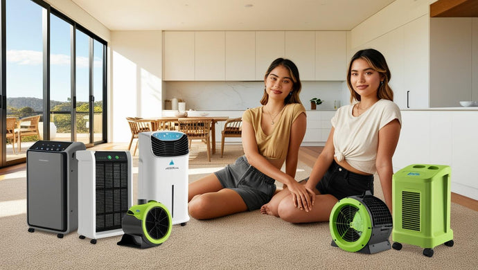 Commercial Excellence: Air Purifiers for Business Environments