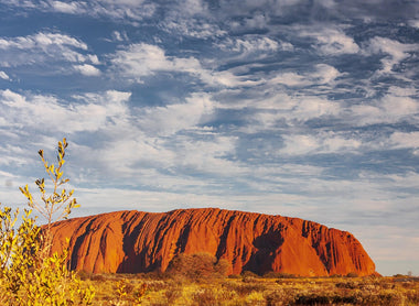 Essential Equipment for Australian Restoration & Construction