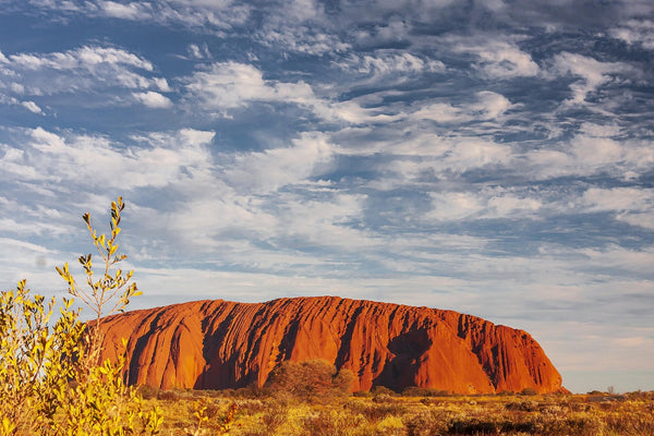 Essential Equipment for Australian Restoration & Construction