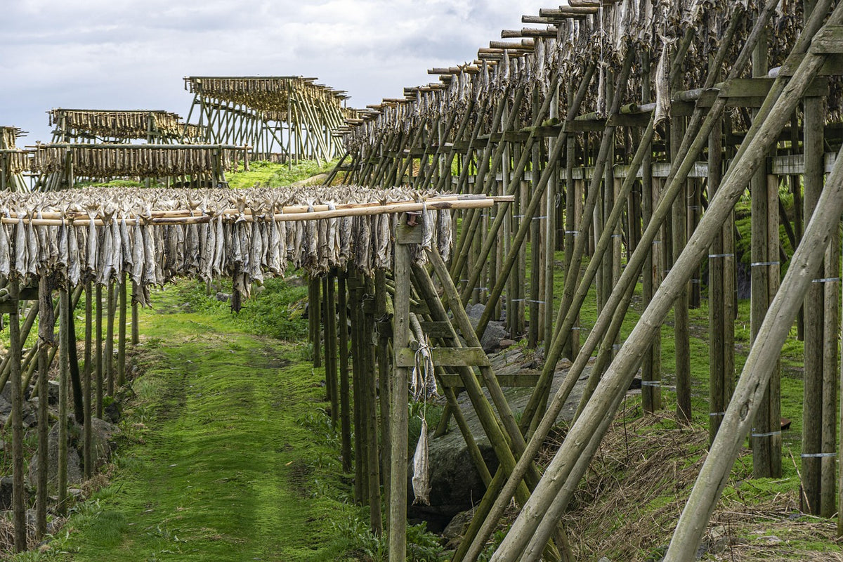 Specialised Asset Procurement for Australian Restoration and Construction Sites