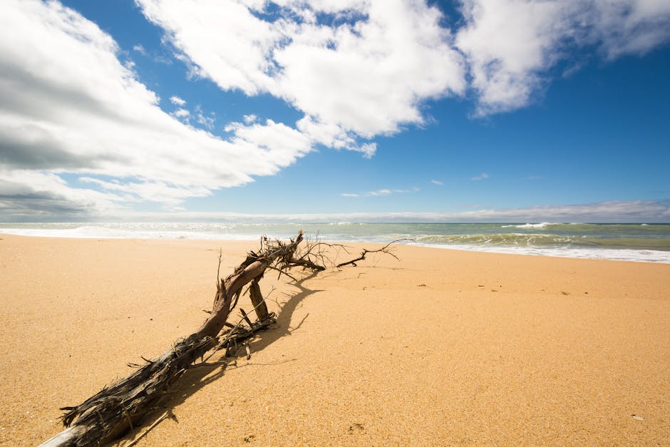 Water damage can strike unexpectedly, leaving a trail of destruction that impacts homes and busin...