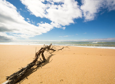 Water damage can strike unexpectedly, leaving a trail of destruction that impacts homes and busin...