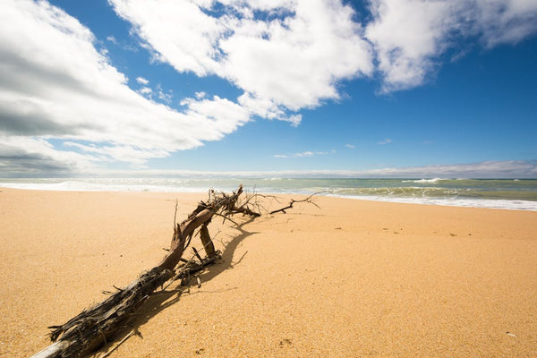 Water damage can strike unexpectedly, leaving a trail of destruction that impacts homes and busin...