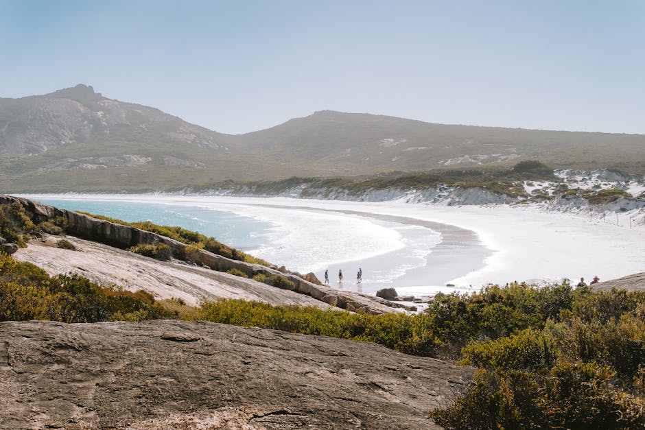 Australia's diverse industries, from robust construction and meticulous restoration to dynamic commercial fit-outs, all rely heavily on specialized equipment and materials to operate efficiently an...
