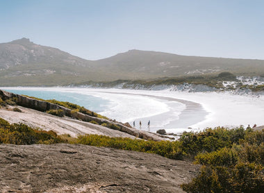 Australia's diverse industries, from robust construction and meticulous restoration to dynamic commercial fit-outs, all rely heavily on specialized equipment and materials to operate efficiently an...