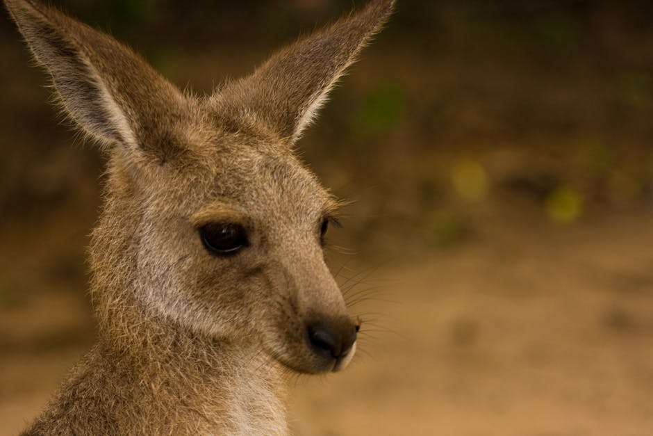 In the dynamic landscapes of Australian industry, from bustling construction sites to the afterma...