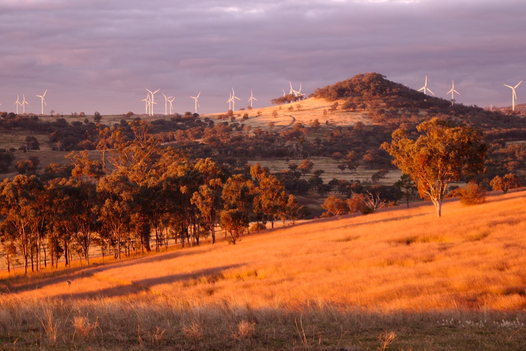 Essential Restoration & Machinery Equipment in Australia