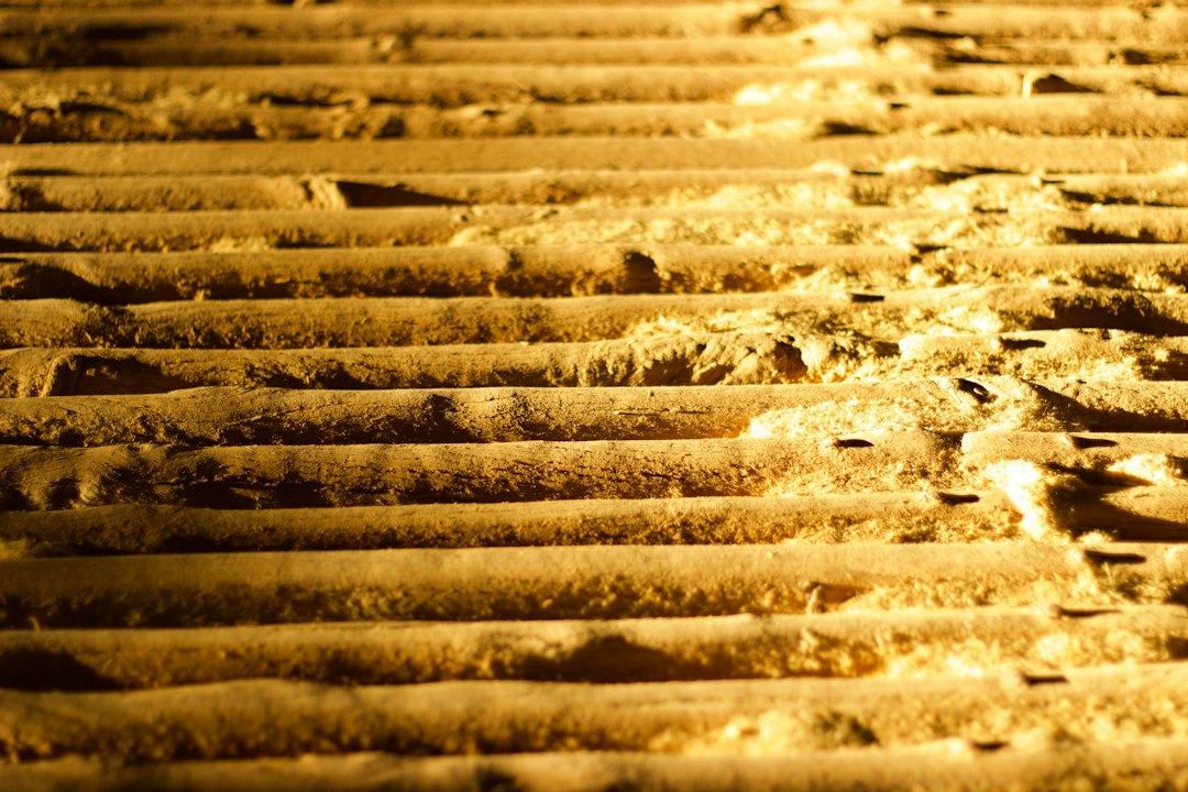 Comprehensive Asset Solutions for Australian Water Restoration and Site Construction