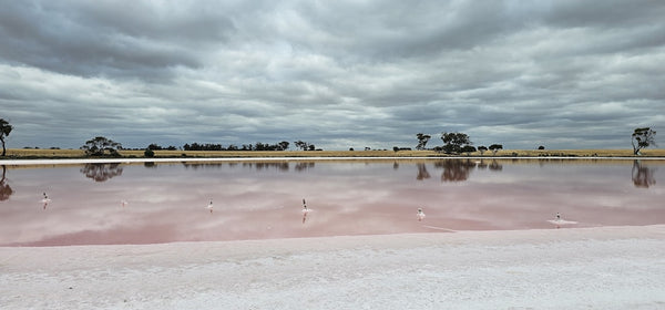 Essential Equipment for Water Damage & Restoration in Australia