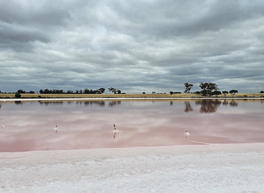 Essential Equipment for Water Damage & Construction in Australia