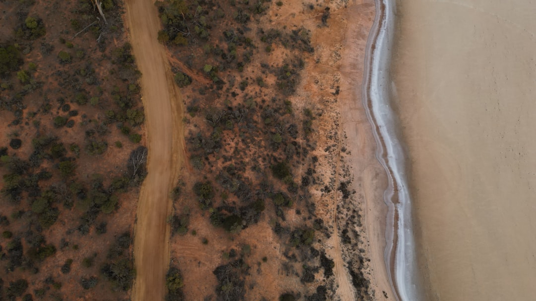 Optimising Operations: Dehumidifiers, Dryers & Excavators in Australia