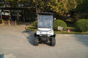 Golf Cart 4 seats