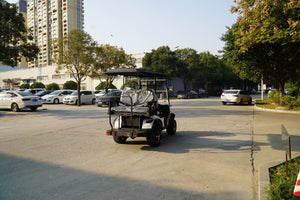 Golf Cart 4 seats