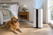 THORAIR® Air Purifier with LED Light